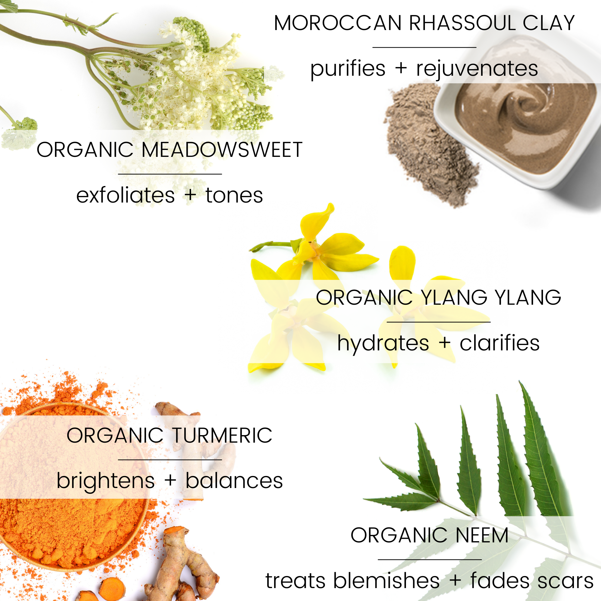 Vegan Mia: Clarity Turmeric & Neem Moroccan Clay Mask