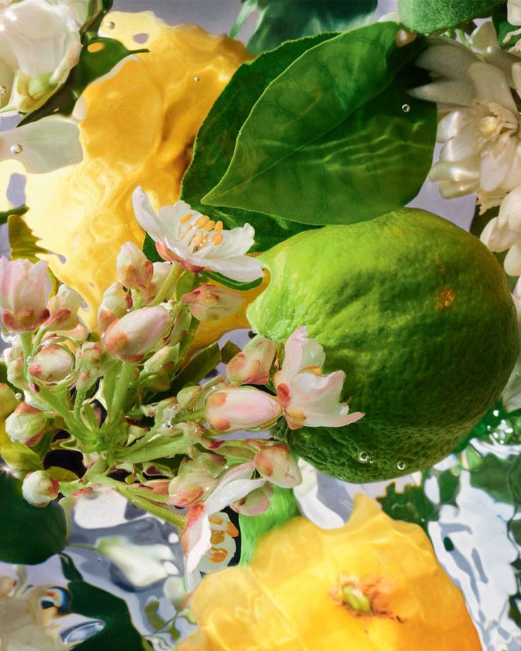 Vegan Mia: CLARITY Bergamot & Cypress Brightening Hydration Mist No.7