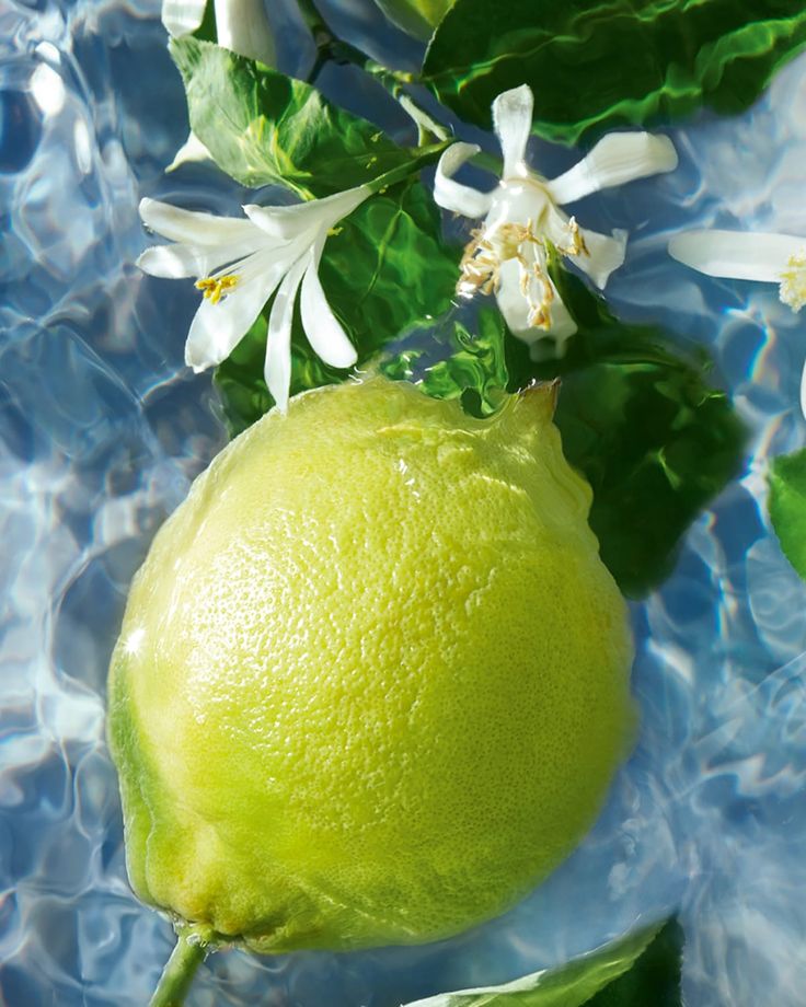Vegan Mia: CLARITY Bergamot & Cypress Brightening Hydration Mist No.7